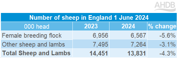 sheep population in England